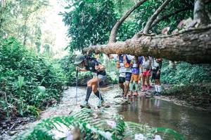 BIB: 
                            <button type="button" onclick="openModal(25444510)" class="btn btn-primary btn-sm float-right btn-popup" data-toggle="modal" data-target=".modal-high-quality">
                        <i class="fas fa-shopping-cart"></i> Add to Cart
                    </button>
                                            <button type="button" onclick="isThisMe(25444510, true)" class="btn btn-success btn-sm float-right btn-popup btn-isme hidden" data-toggle="tooltip" data-placement="bottom" title="นี่คือรูปของคุณใช่ไหม คลิกที่นี่เพื่อเอาเข้าอัลบั้ม">
                        <i class="fas fa-plus"></i> Add to album
                    </button>
                    <button type="button" onclick="isThisMe(25444510, false)" class="btn btn-warning btn-sm float-right btn-popup btn-isnotme hidden">
                        <i class="fas fa-ban"></i> Remove from album
                    </button>